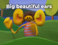 Big beautiful ears