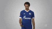 football soccer GIF by Bundesliga