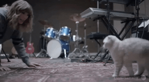 Behind The Scenes GIF by Taylor Swift