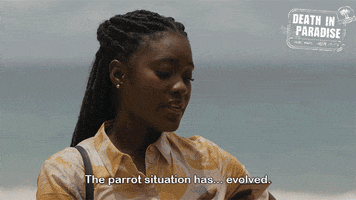 Absurdity GIF by Death In Paradise