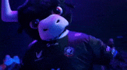 Touro Vapo GIF