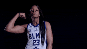 BLMA lfb blma gogazelles ligue féminine de basket GIF