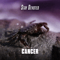 Zodiac Sign GIF by Sealed With A GIF