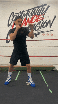 quinitboxing  GIF