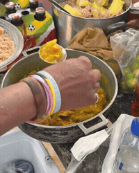Chicken Curry GIF