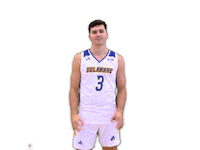 Basketball Bluehens Sticker by Delaware Blue Hens