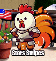 Stars Stripes Summer GIF by Zorooster