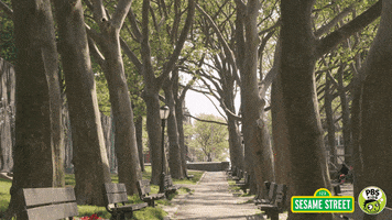 sesame street hello GIF by PBS KIDS