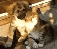 GIF by Demic