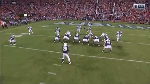 joshvitale giphygifmaker GIF