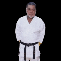 matsubayashi zen karate dojo matsu GIF