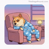 Tired Good Night GIF by Doge Pound