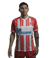 Football Sport Sticker by FK Crvena zvezda