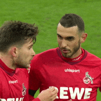 1 Fc Cologne Football GIF by 1. FC Köln