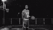 Boston Celtics Sport GIF by NBC Sports Boston