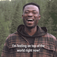 Happy Abc GIF by The Bachelorette