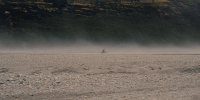 cinemagraph GIF