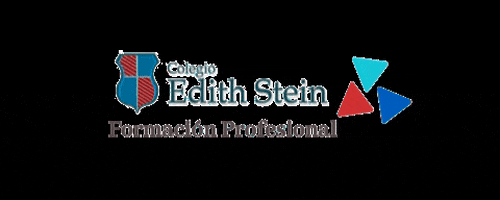 FPEdithStein giphyupload GIF