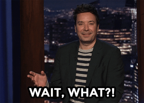 Jimmy Fallon What GIF by The Tonight Show Starring Jimmy Fallon