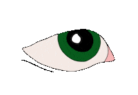Eyes Sticker