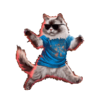 Transparency Dancing Cat Sticker