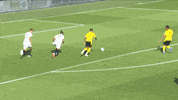 Borussia Dortmund Skill GIF