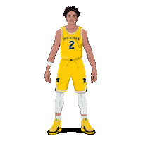 Nba Draft Basketball Sticker by SportsManias