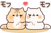 In Love Cat GIF