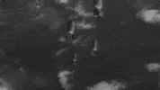 GIF by Giffffr
