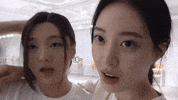 K Pop Cutie GIF