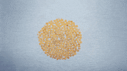 Stop Motion Animation GIF by Bichofeo