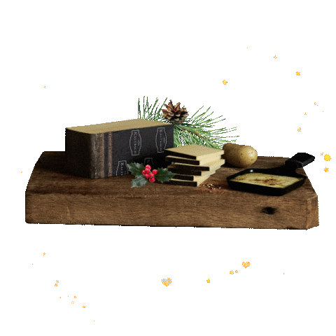 Emmicheesenl giphyupload Sticker