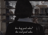 season 6 netflix GIF by Gilmore Girls 