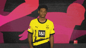 Borussia Dortmund GIF by Bundesliga