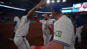 Captain Kirk Hug GIF by Toronto Blue Jays