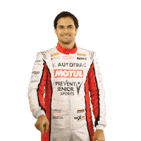 Stockcar Piquet Sticker by Stock Car Brasil