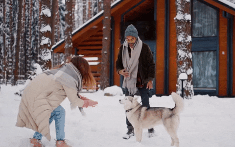 fxtubcom giphyupload hitpaw object remover full version GIF