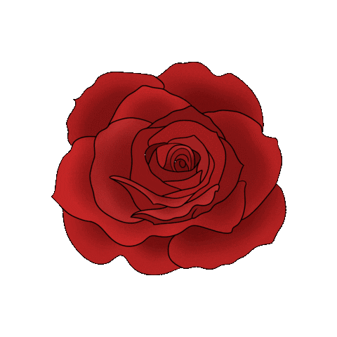 Rose Sticker by thestylistwitch