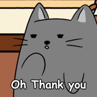 Cat Thank You GIF by MESA My Emotional Support Animal