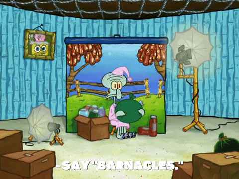 season 8 episode 3 GIF by SpongeBob SquarePants
