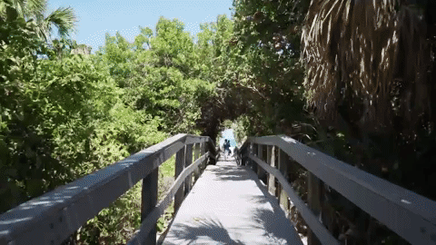 indian river county florida GIF