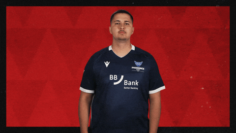 Karlsruher Sc Football GIF by Bundesliga