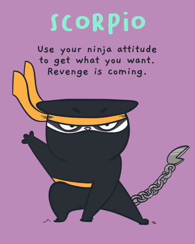 Cat GIF by Mumosa & Ragout