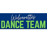 Whs Sticker by WHSPTSO