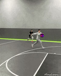 tinycolony gaming solana tinycolony GIF