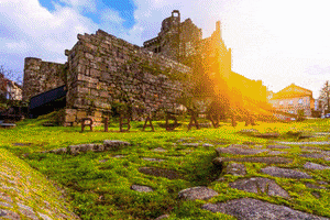 boturismo turismo galicia rural ribeiro GIF