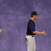 Baseball Wesleyan GIF by KWC Panthers