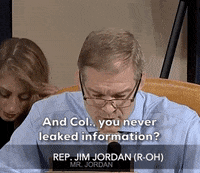 news impeachment inquiry jim jordan alexander vindman GIF