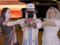 pugliferecords bollywood indian pug desi GIF