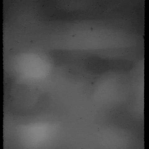 Halloween Monsters GIF by PBS Digital Studios